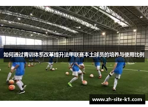 如何通过青训体系改革提升法甲联赛本土球员的培养与使用比例