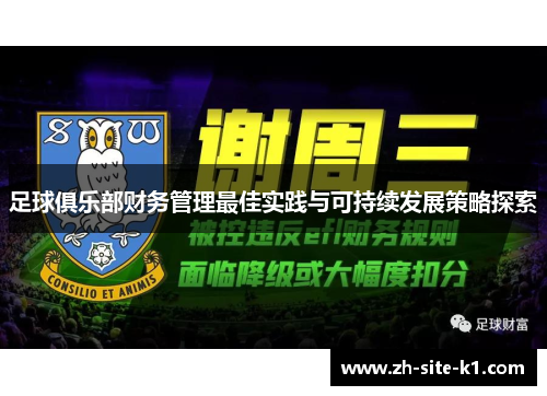 足球俱乐部财务管理最佳实践与可持续发展策略探索
