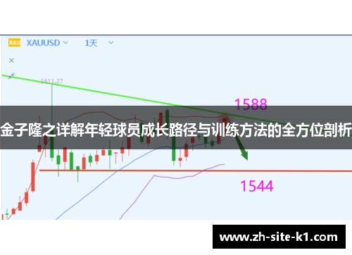 金子隆之详解年轻球员成长路径与训练方法的全方位剖析