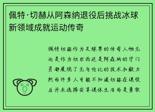 佩特·切赫从阿森纳退役后挑战冰球新领域成就运动传奇